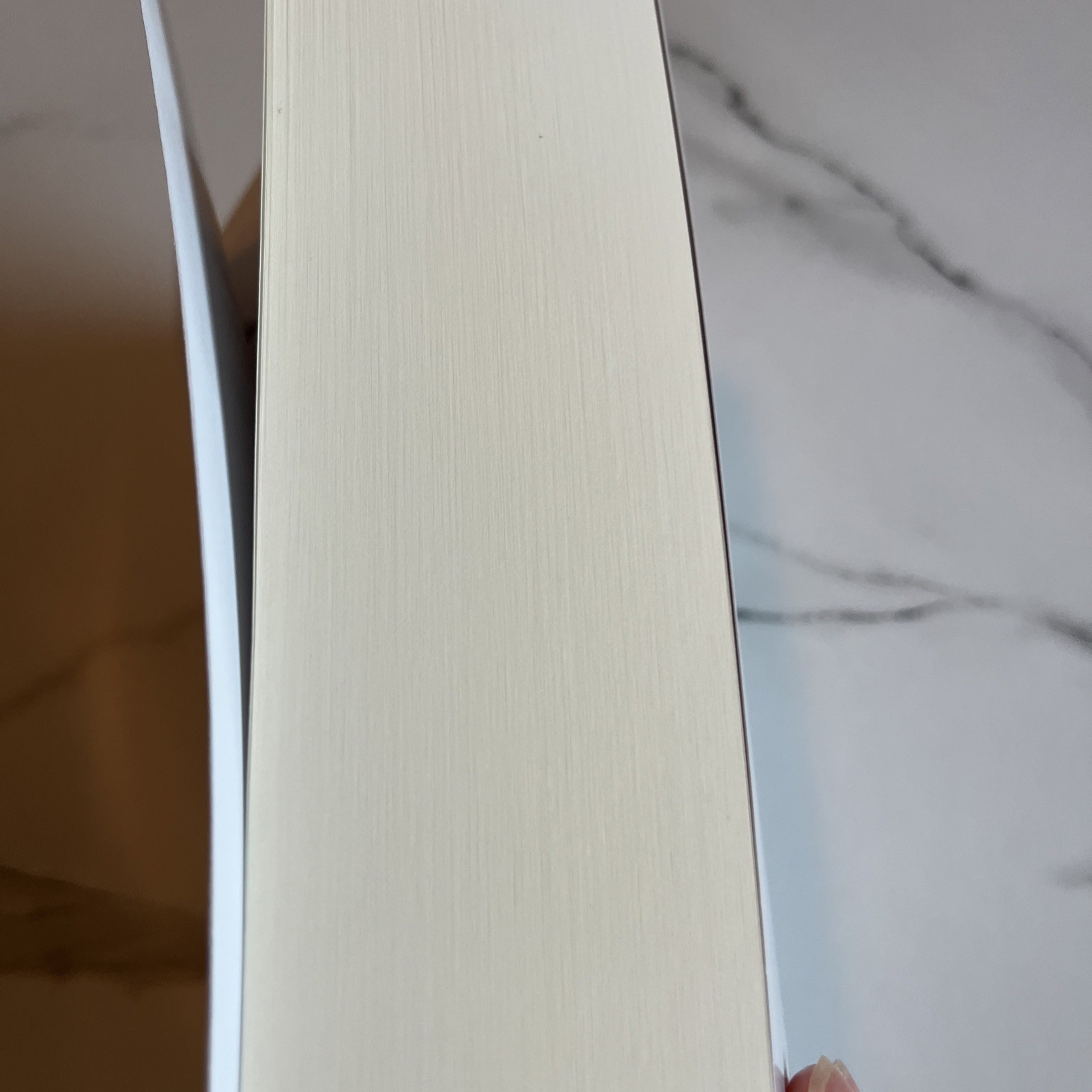 holy megillah, the nasarean bible of the essene way,Large Reprint 8.5*11.5”, PB
