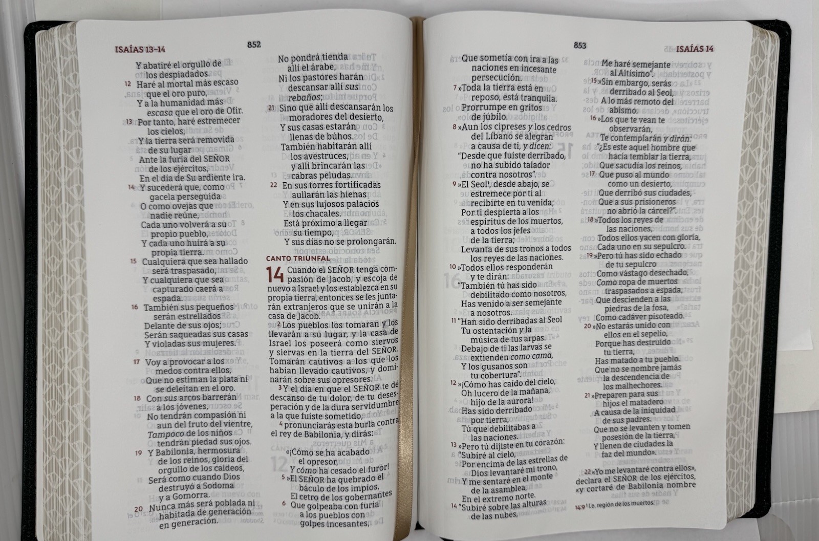 NBLA, Biblia para la Lectura Pública, Versificada, Letra Grande, Piel de Cabra,
