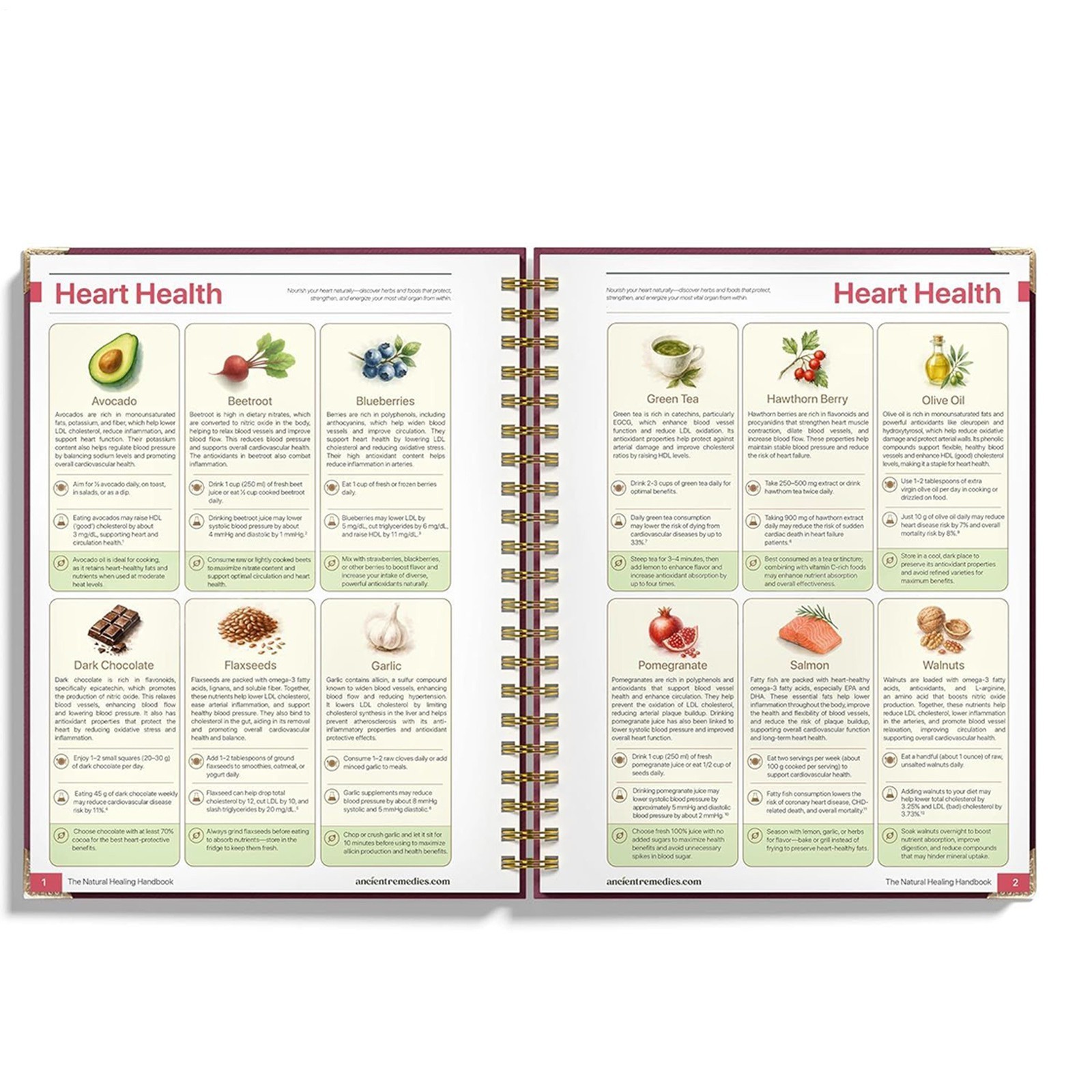 The Natural Healing Handbook Guide for Herbal Remedies and Natural -US Stock