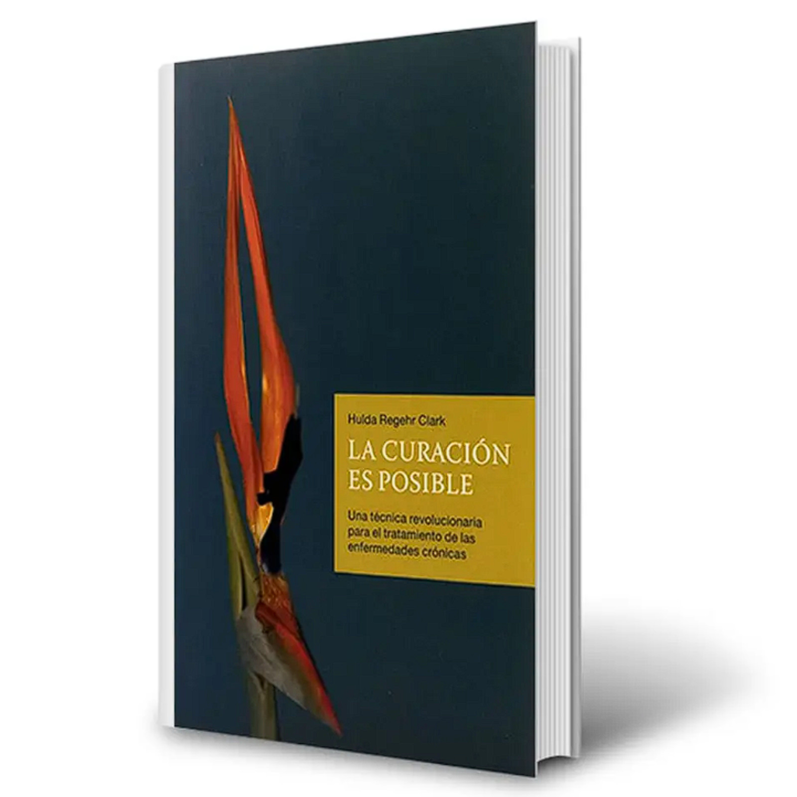 La Curación es Posible by Dr. Hulda Clark | Spanish Edition 2010 Paperback | New