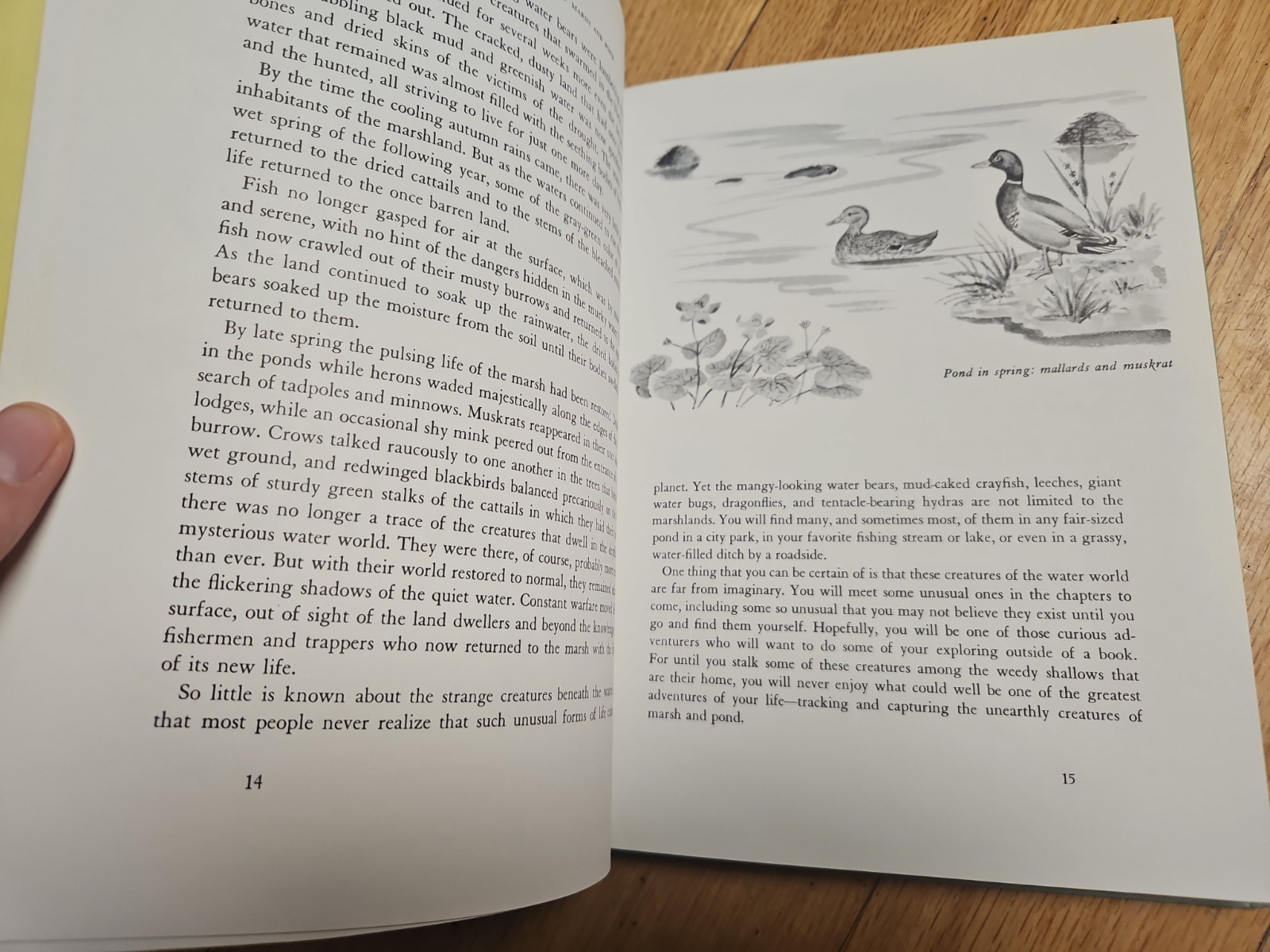 Tracking the Unearthly Creatures of Marsh and Pond – Howard G Smith