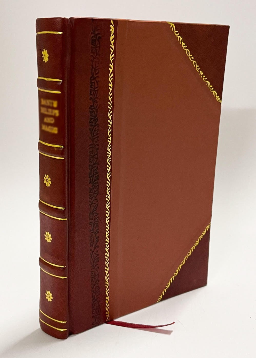 We Four and Two More by Imogen Clark [Leather Bound]
