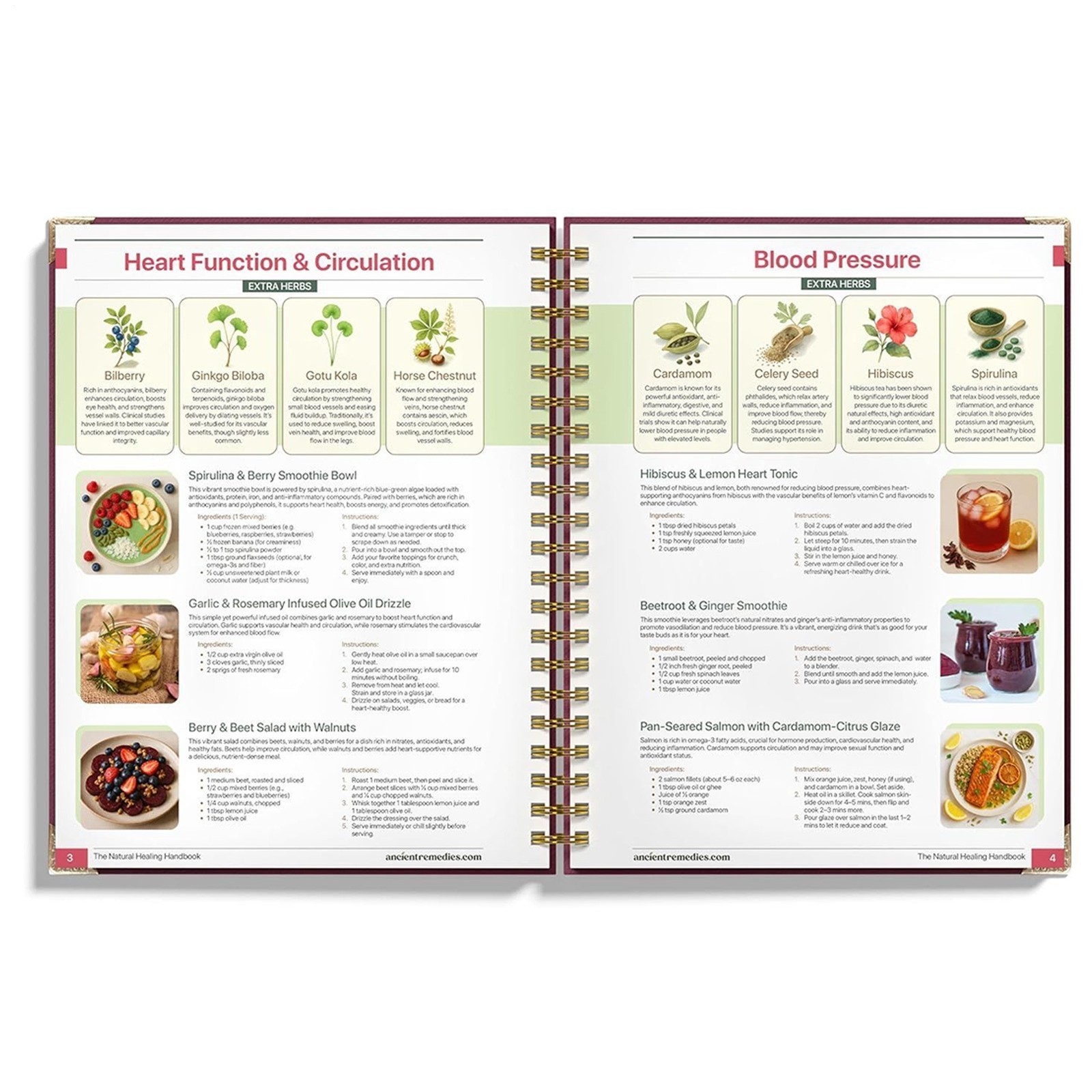 The Natural Healing Handbook Guide for Herbal Remedies and Natural -US Stock