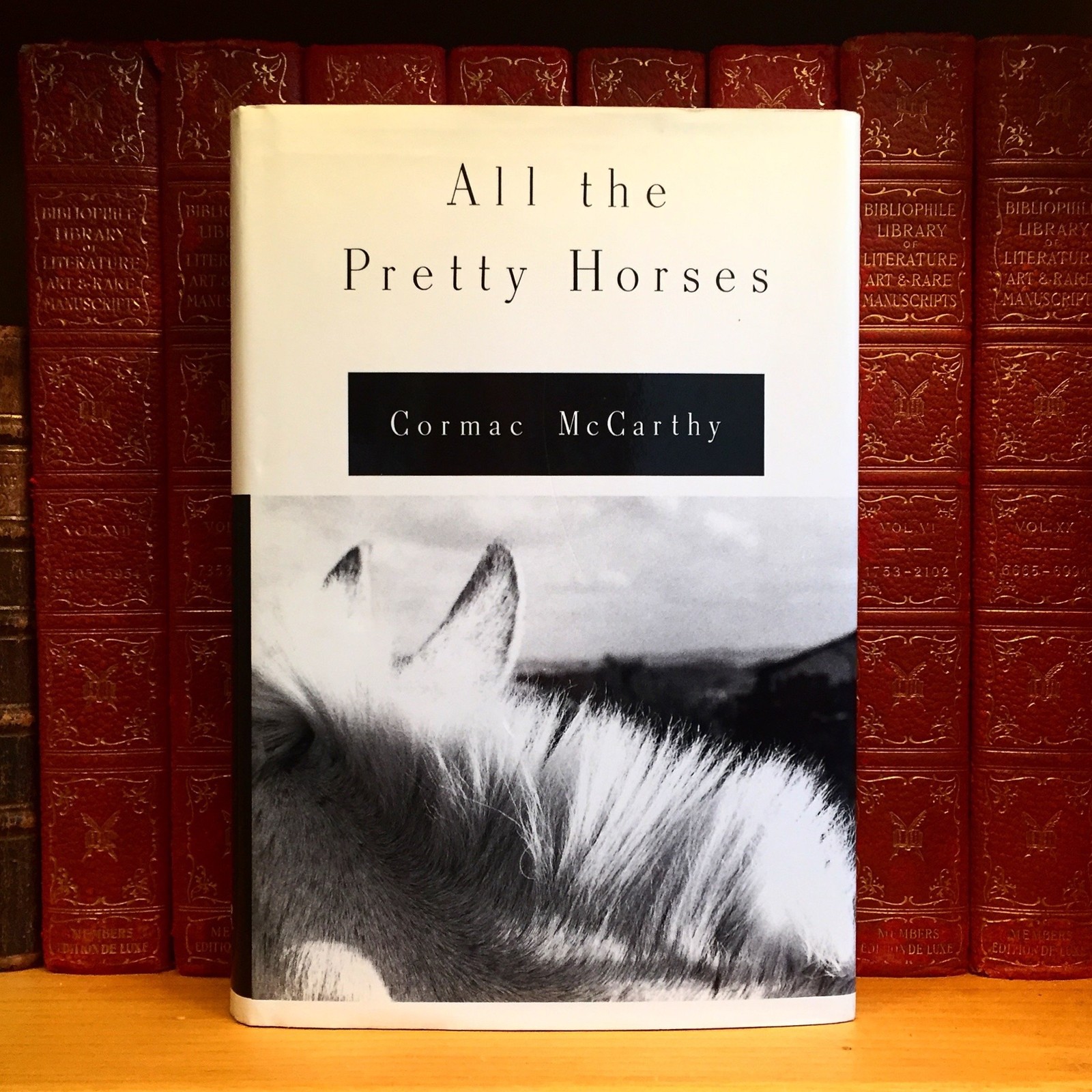 All the Pretty Horses