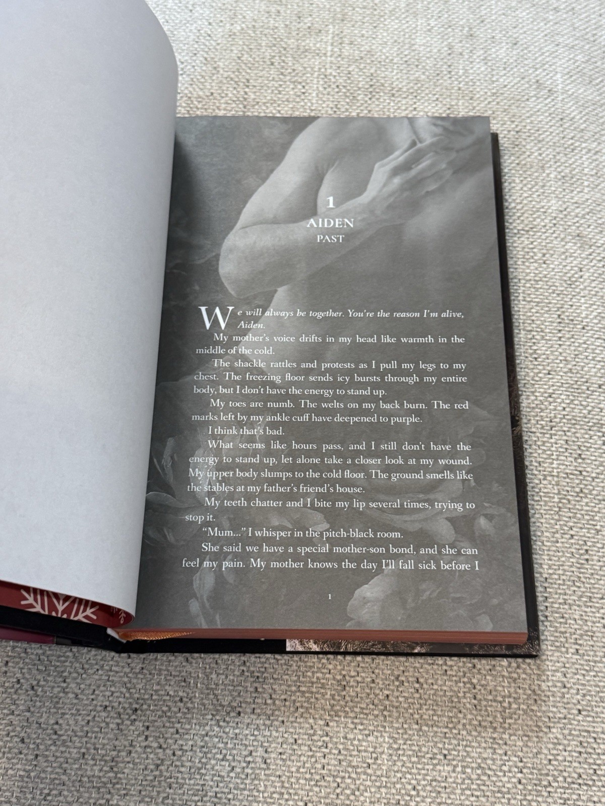 Twisted Kingdom Rina Kent Baddies Book Box Special Edition Royal Elite Series